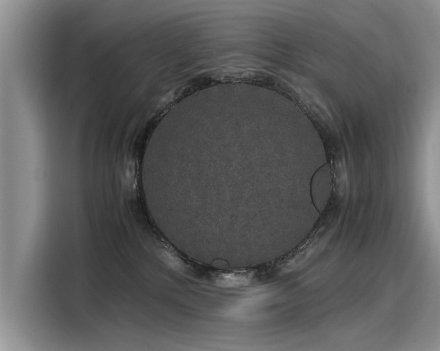 X0000116120232200911301333