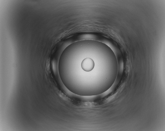 X0000116120233200911301333