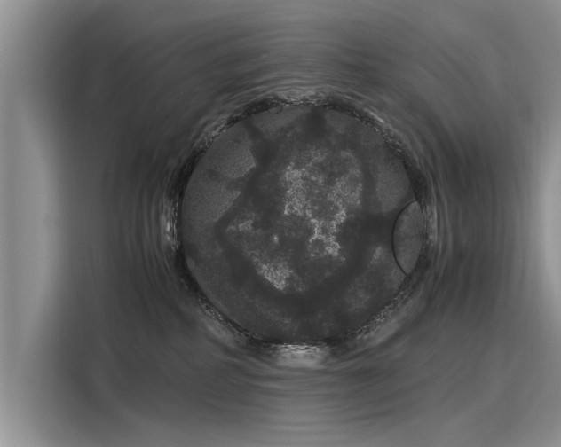 X0000116120234200911301333