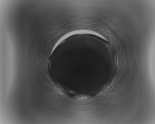 X0000116120235200911301333