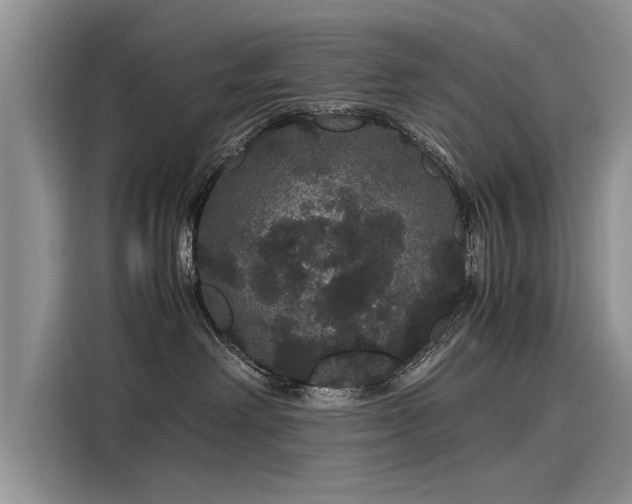 X0000116120238200911301333