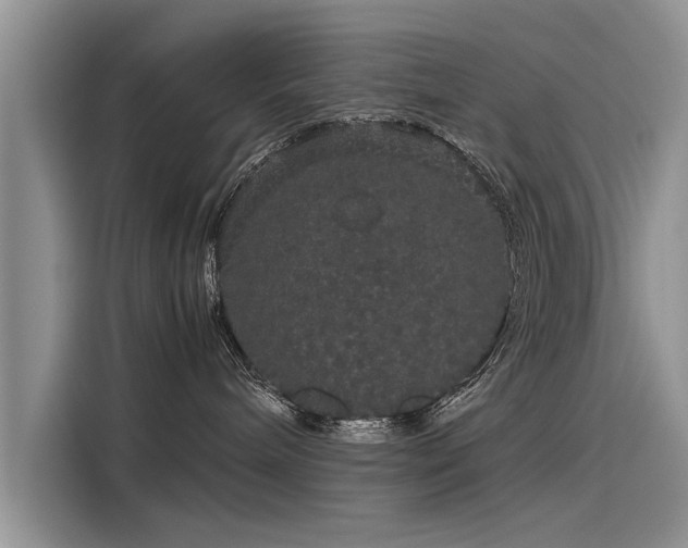 X0000116120240200911301333