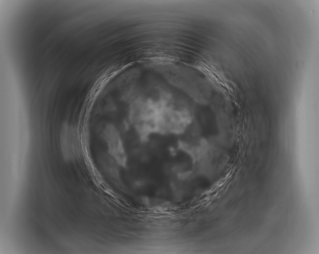 X0000116120241200911301332