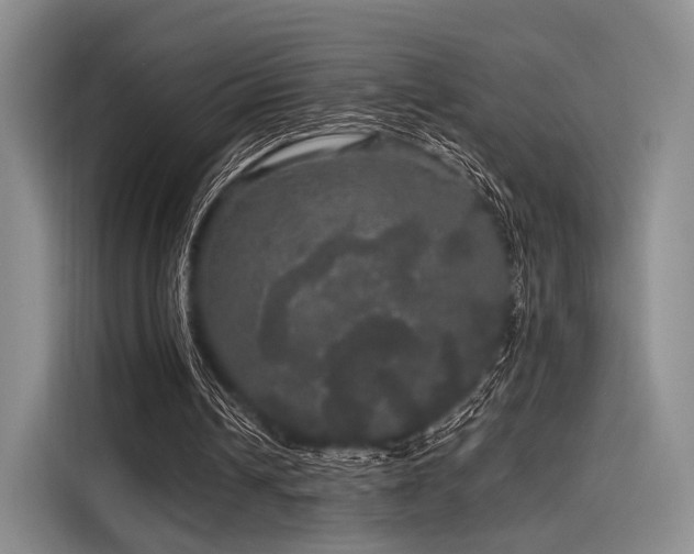 X0000116120242200911301332