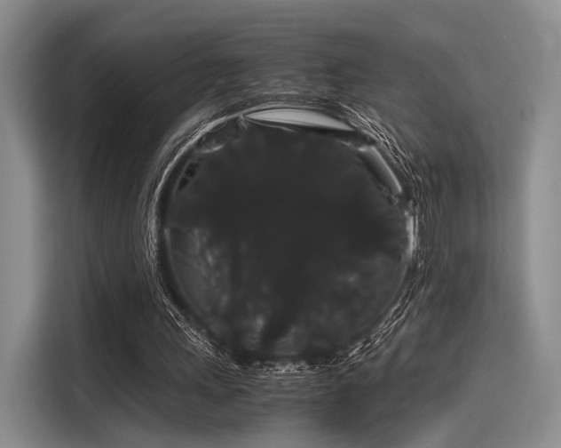 X0000116120243200911301332