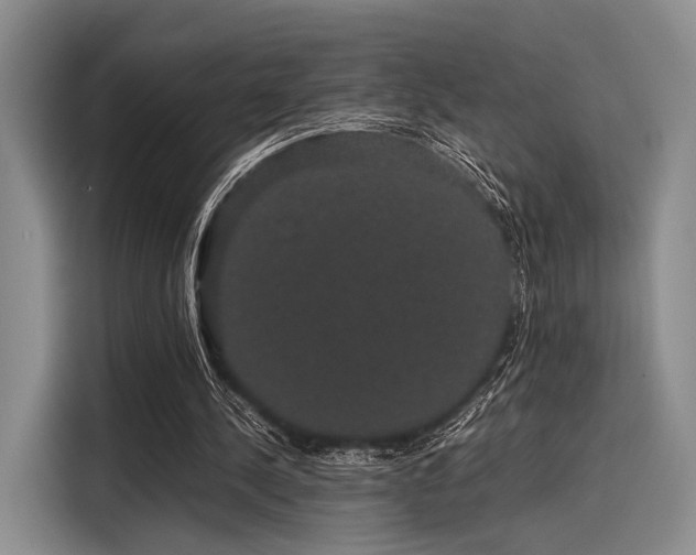 X0000116120244200911301332