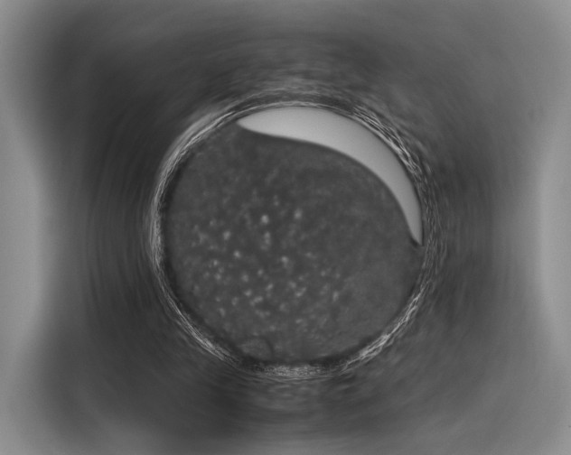 X0000116120245200911301332