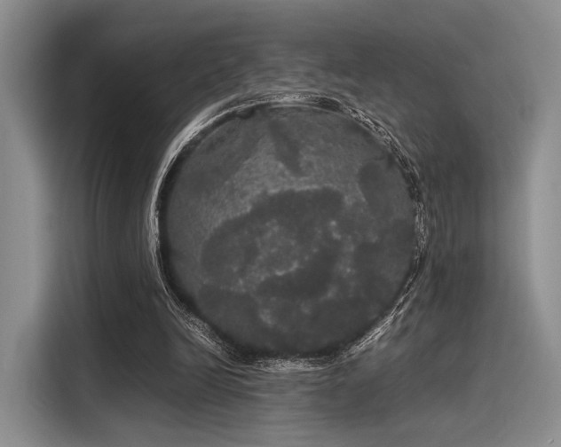 X0000116120246200911301332