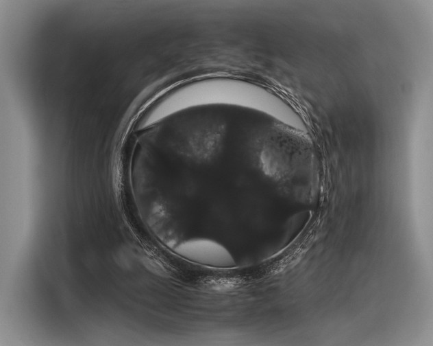 X0000116120247200911301333