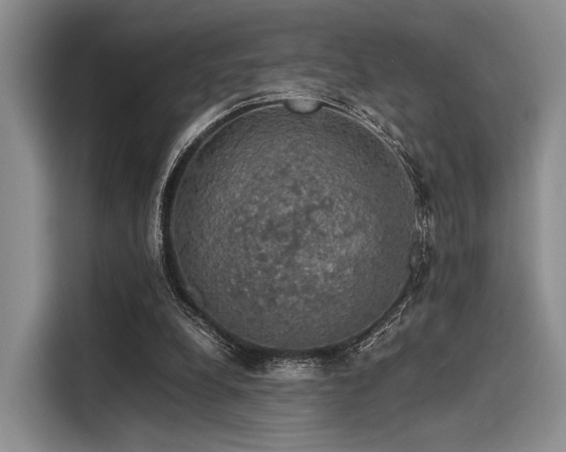 X0000116120248200911301333