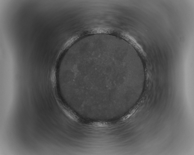 X0000116120250200911301333