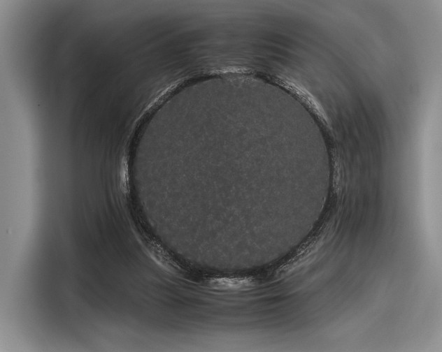 X0000116120251200911301333