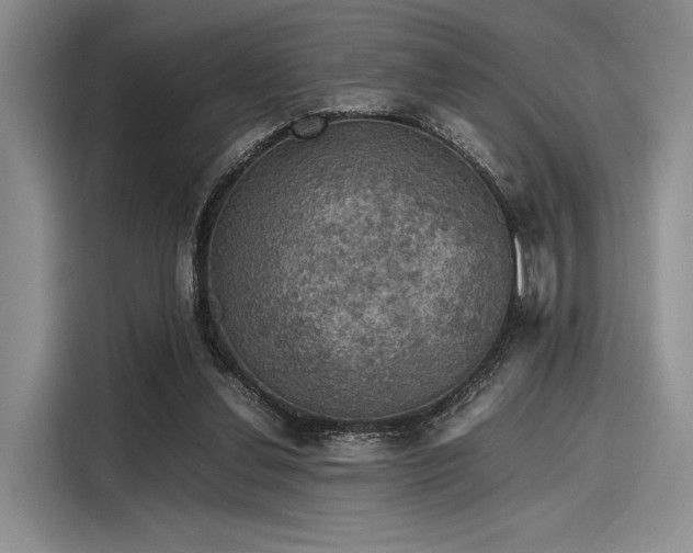 X0000116120252200911301333