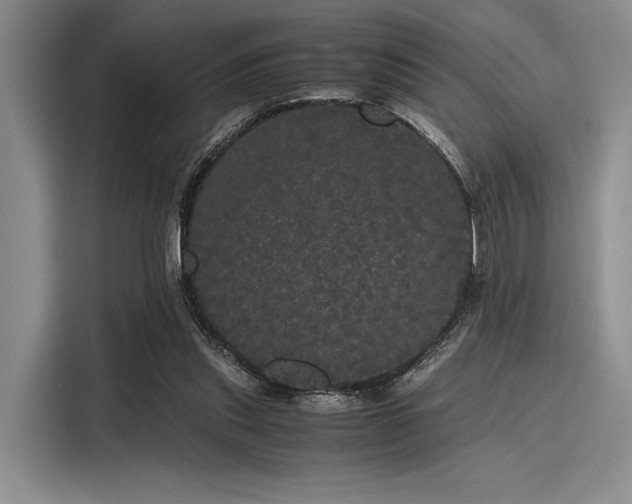 X0000116120253200911301333