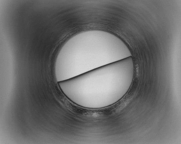 X0000116120254200911301333