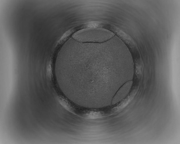 X0000116120256200911301333