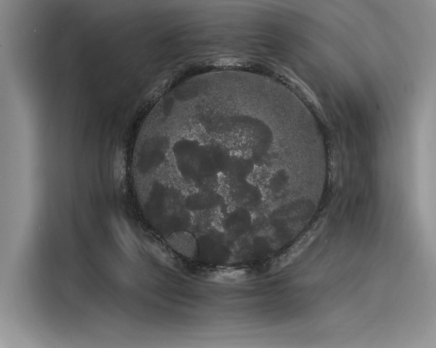 X0000116120257200911301333