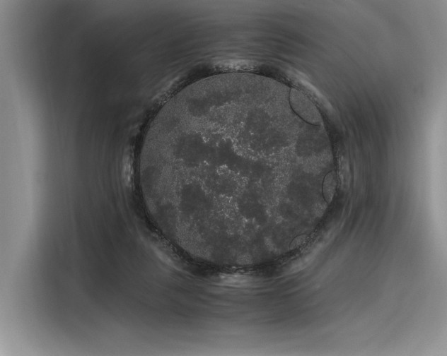 X0000116120259200911301333