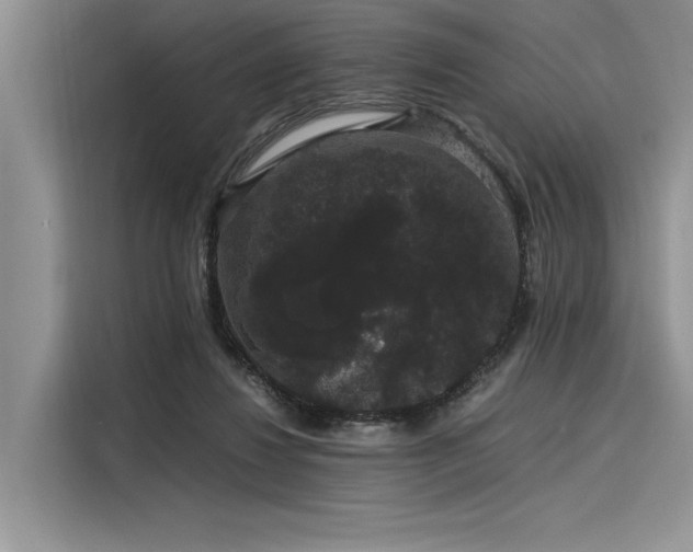 X0000116120260200911301333