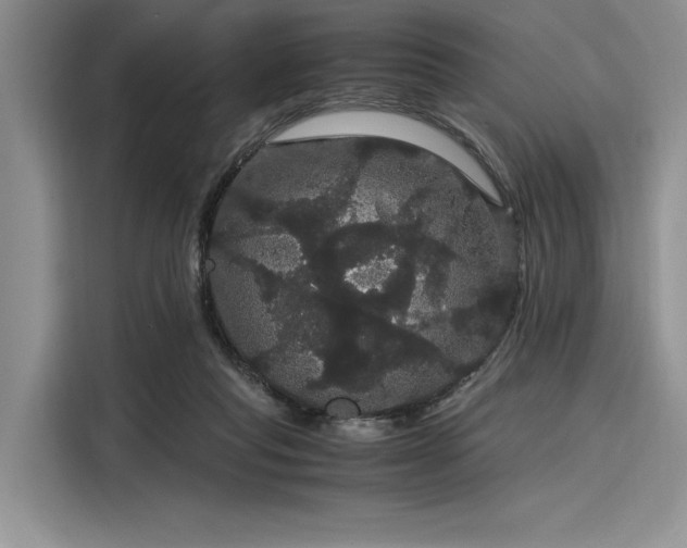 X0000116120261200911301333