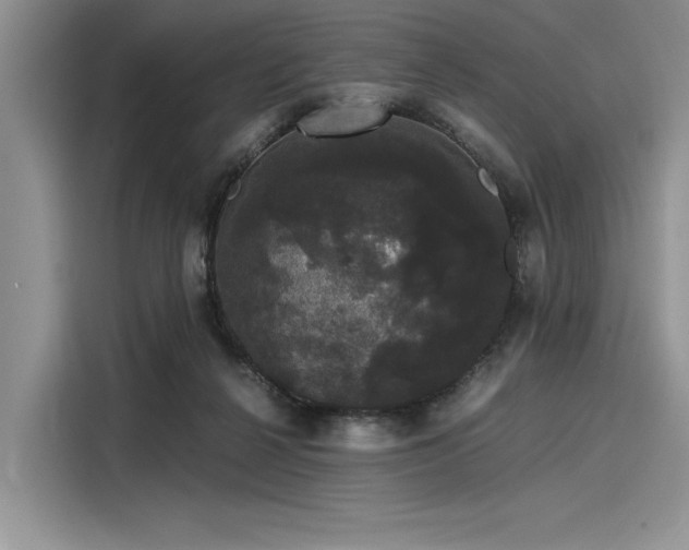 X0000116120264200911301333