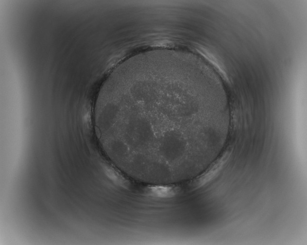 X0000116120265200911301333