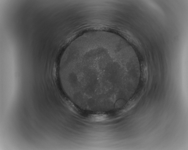 X0000116120266200911301333