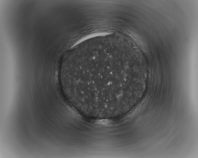 X0000116120269200911301333