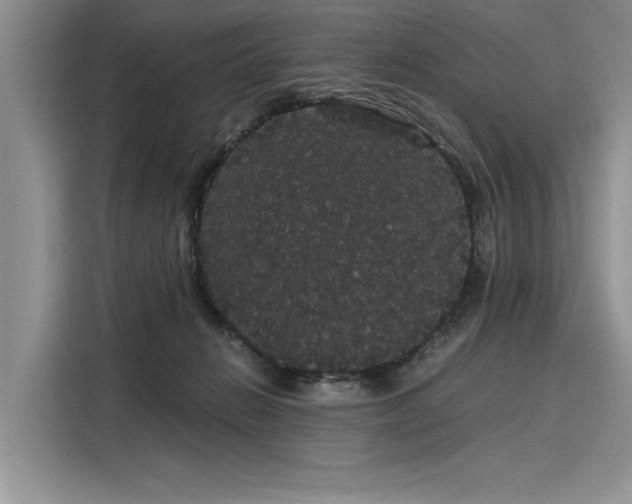 X0000116120270200911301333