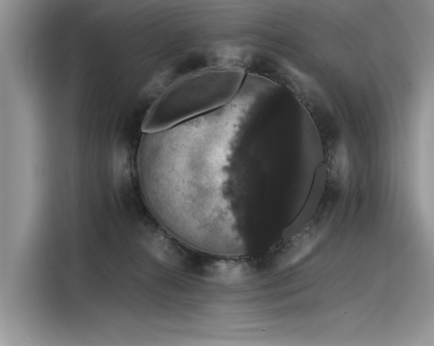 X0000116120272200911301333