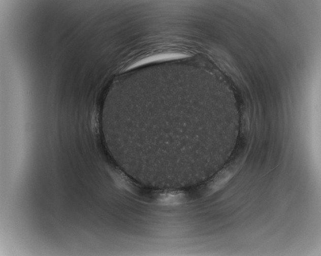 X0000116120274200911301333