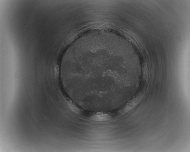 X0000116120278200911301333