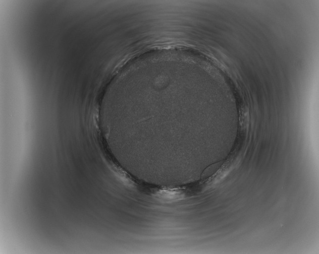 X0000116120280200911301333