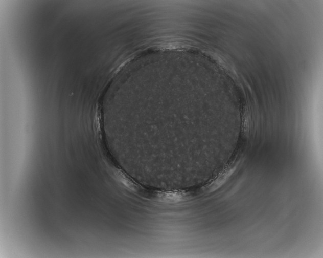 X0000116120282200911301333