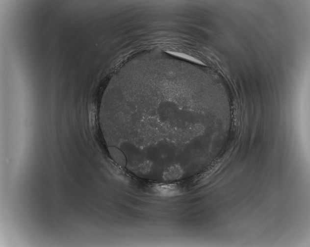 X0000116120283200911301333