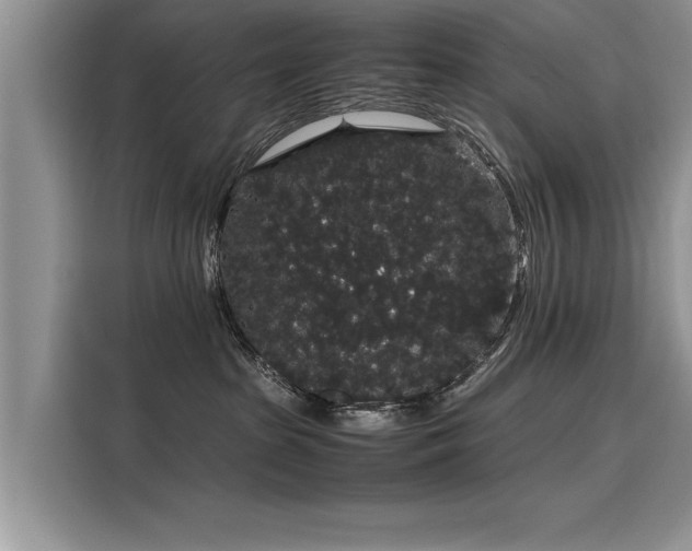 X0000116120285200911301333