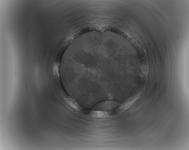 X0000116120286200911301333