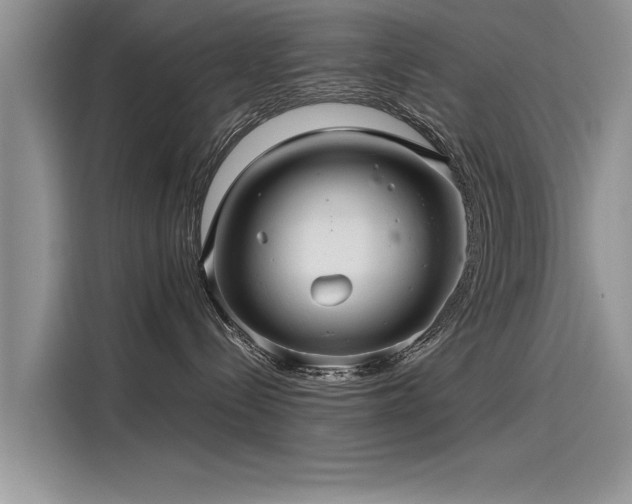 X0000116120288200911301333