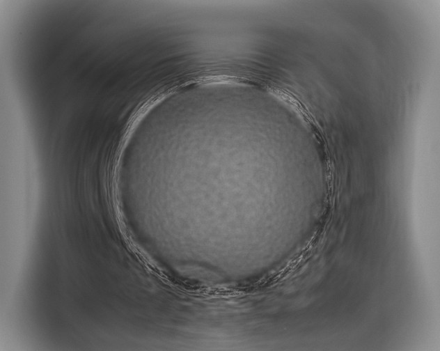 X0000116120289200911301332