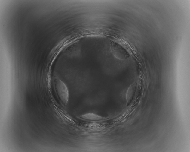 X0000116120290200911301332