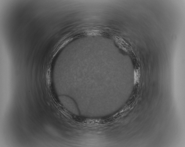 X0000116120291200911301332