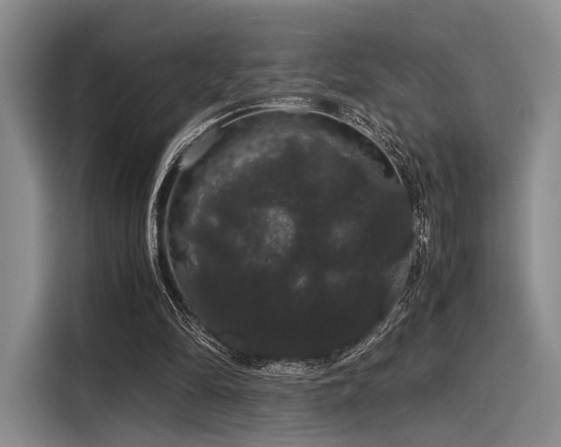 X0000116120294200911301332