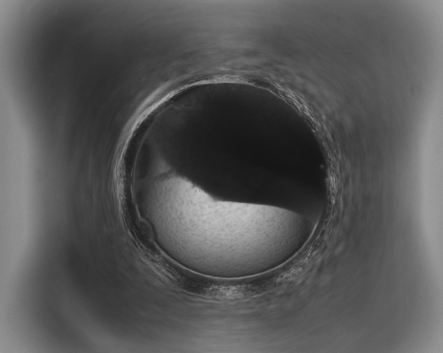 X0000116120295200911301332