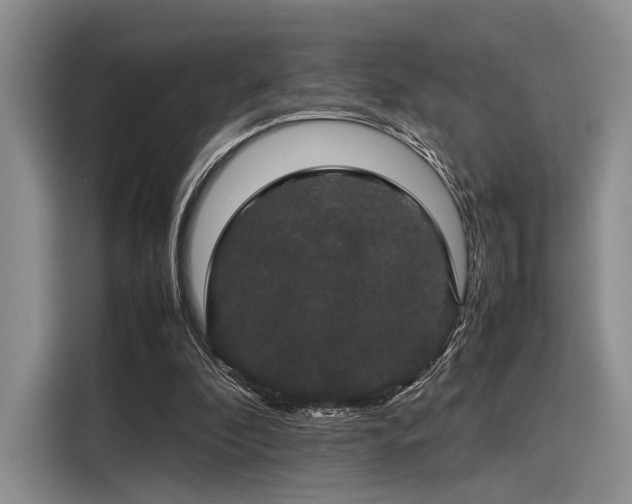 X0000116120296200911301332