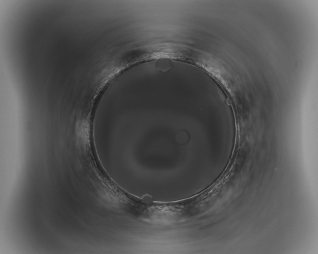 X0000116120297200911301332