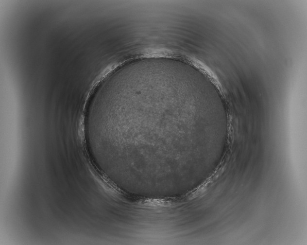 X0000116120298200911301332