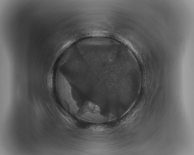 X0000116120299200911301332