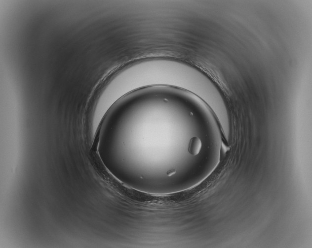 X0000116120300200911301332