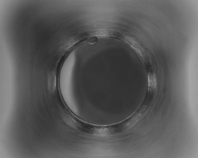 X0000116120301200911301332