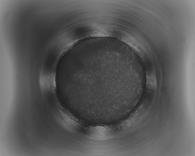 X0000116120302200911301332